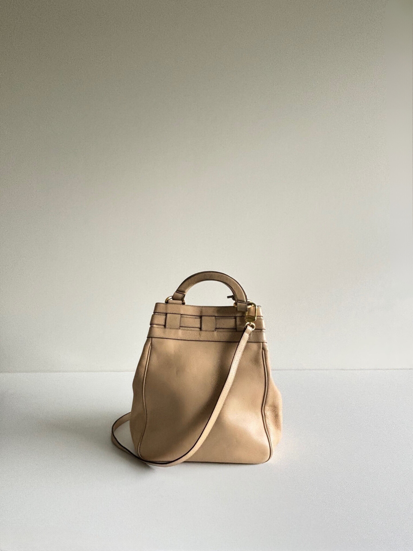 Delvaux Roseau bag