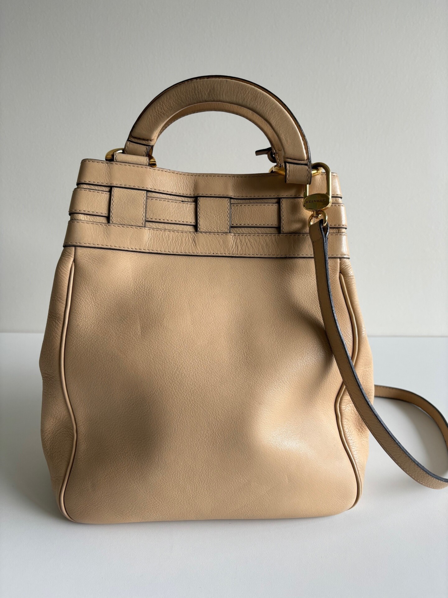 Delvaux Roseau tas