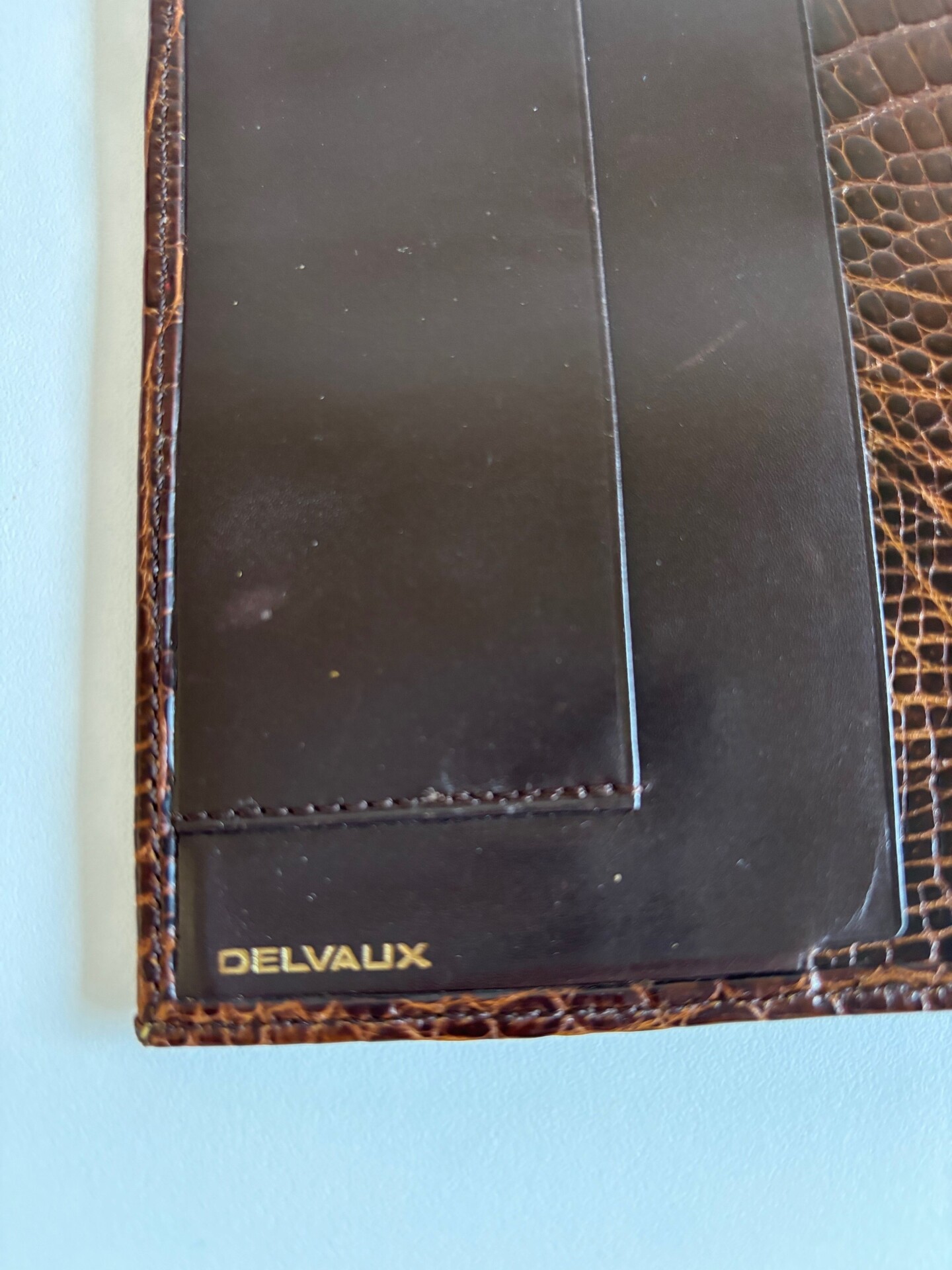 Delvaux wallet in croco leather