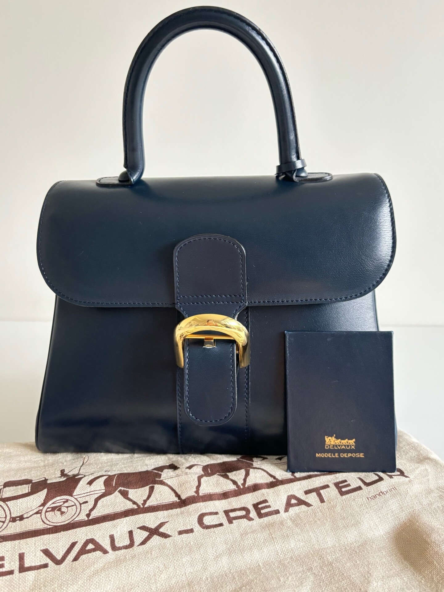 Delvaux Brillant PM